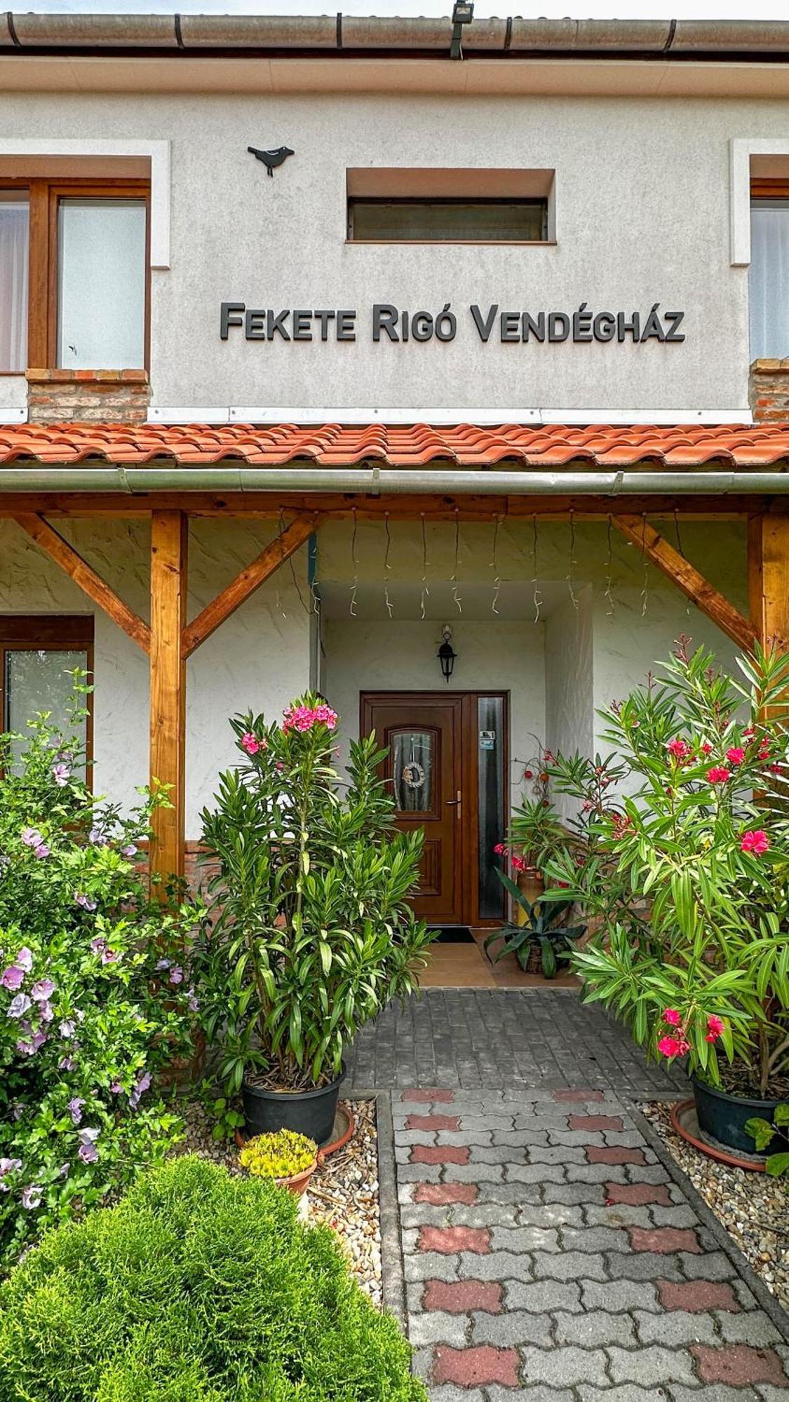 Fekete Rigo Vendeghaz Lägenhet Egerszalók Exteriör bild